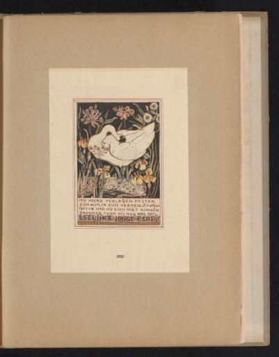 Swan with beak tucked under a wing