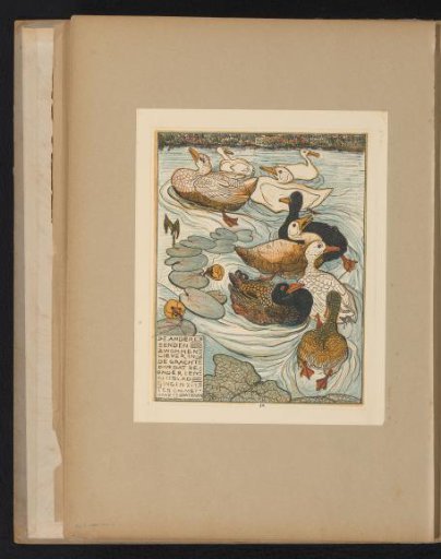 Group of Ducks in a Pond with Lily Pads