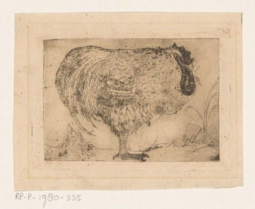 Crouching rooster