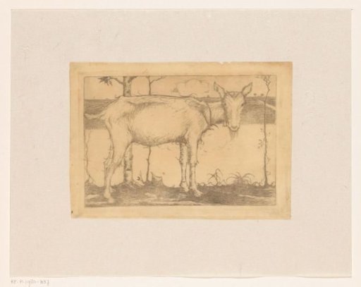 Goat on the bank