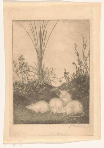 Four Mice