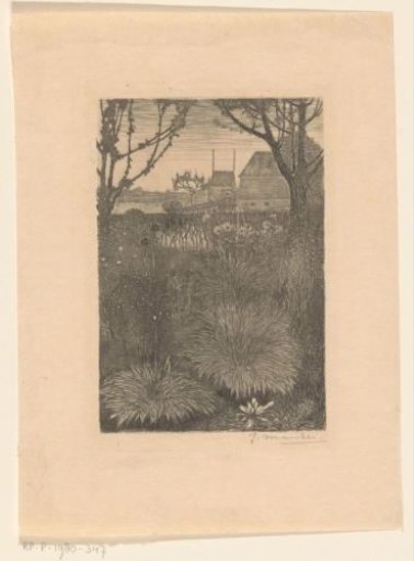 View of a Garden with Shrubs and Sunflowers