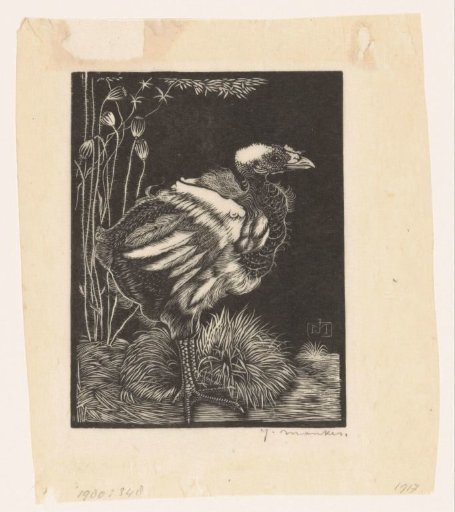 Nestling
