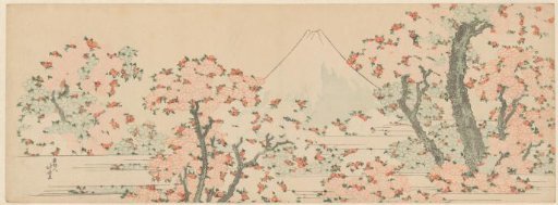Fuji over Cherry Blossom