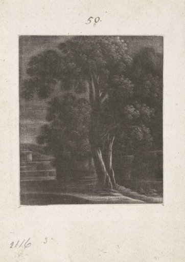 Night view with a tree