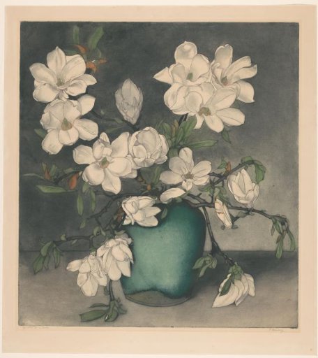 Magnolia Branches