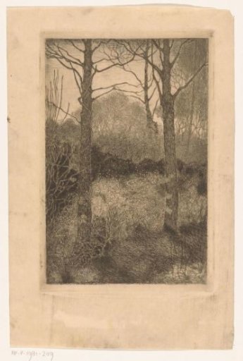 Woodland Edge