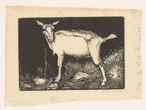 White Goat