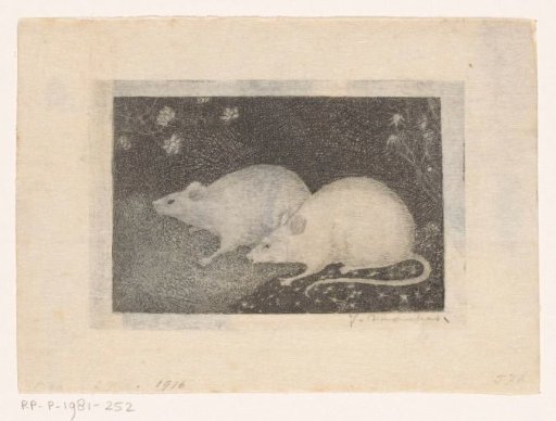 Two Mice