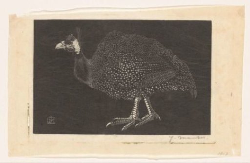 Guinea Fowl
