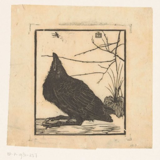 Crow, Looking Up at a Mosquito