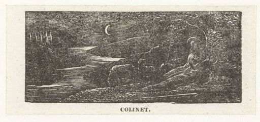 Colinet Rests during the Night