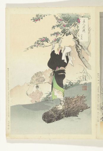 Woman Picking Mountain Sorrel