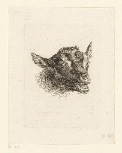 Head of a goat