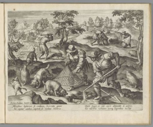 Boar Hunt