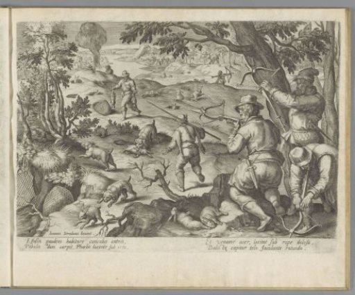 Rabbit Hunt