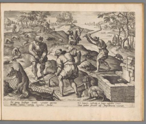 Badger Hunt