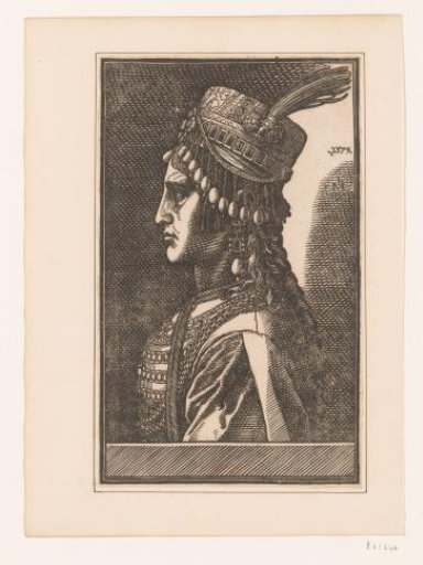 Portrait of an unknown woman of a sultan