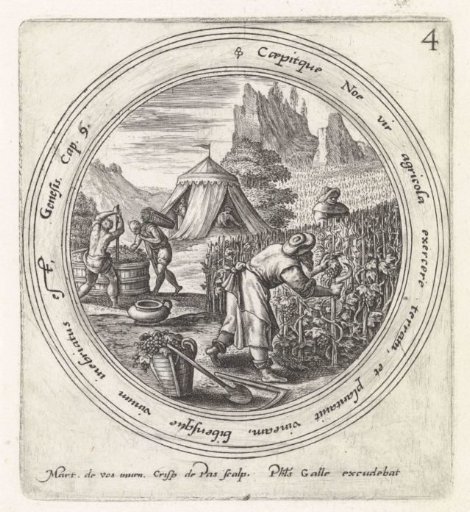 Noach legt een wijngaard aan