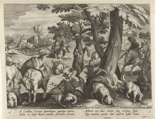 Stag hunting with dogs