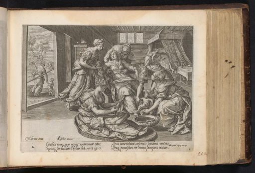 Birth of the Son of the Woman of Shunem