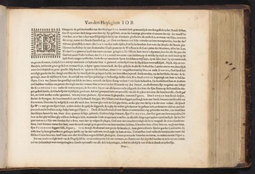 Van den Heylighen Iob