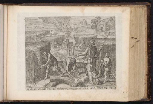 Burning the weeds and harvesting the grain
