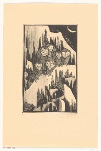 Six tawny owls sleeping on snow-covered branches