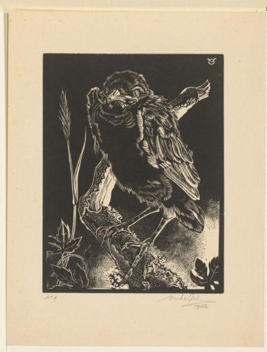 Bird on a branch