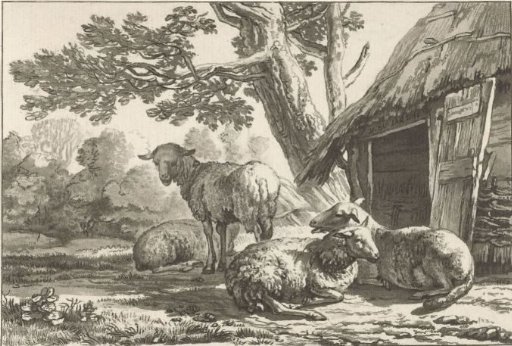 Sheepfold
