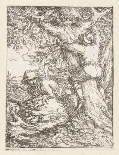 The Nest Robber