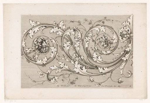 Acanthus vines