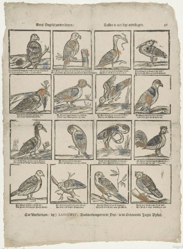 These birds will not easily escape you