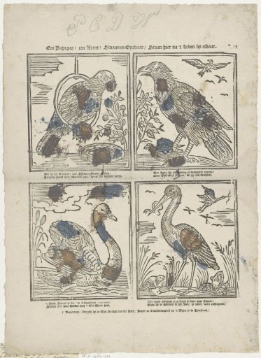 A parrot / an eagle / a swan and a stork / Stand here from life together