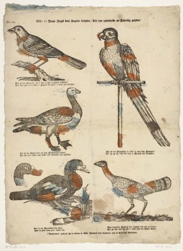 Do, oh! young youth, behold these birds / which very excellently resemble living ones