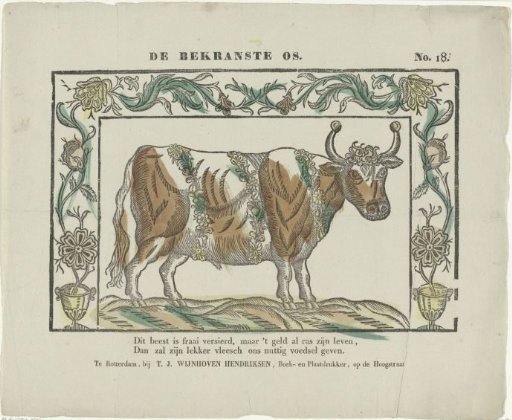 The garlanded ox