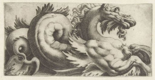 Sea-horse with leaf-shaped fins and a tail