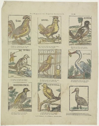 The nine orders of birds