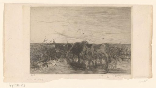 Cows by water in a meadow