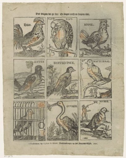 These birds that you see / Neither sing nor crow