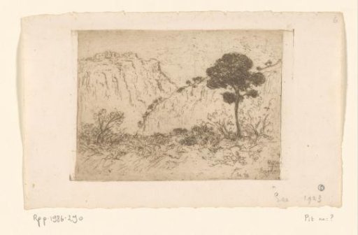 Mountain landscape