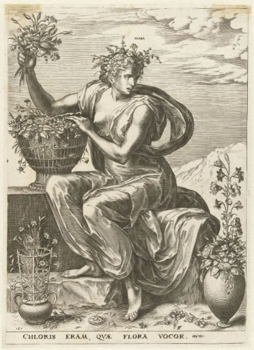 Flora