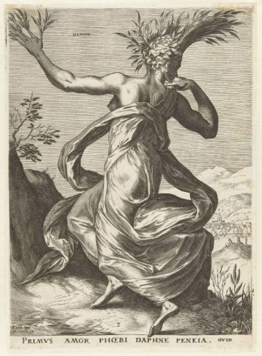 Daphne