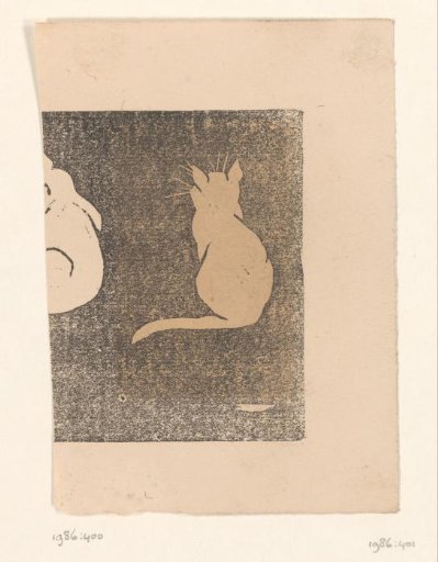 Cat seen from behind