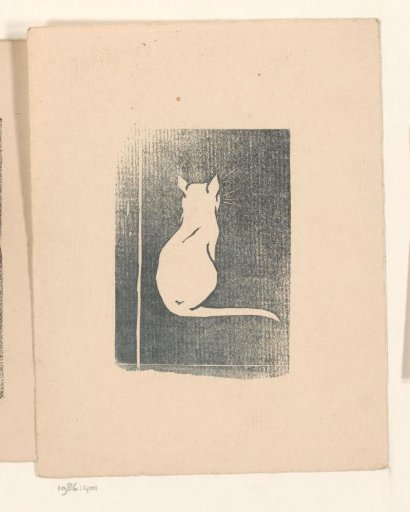 Cat seen from behind