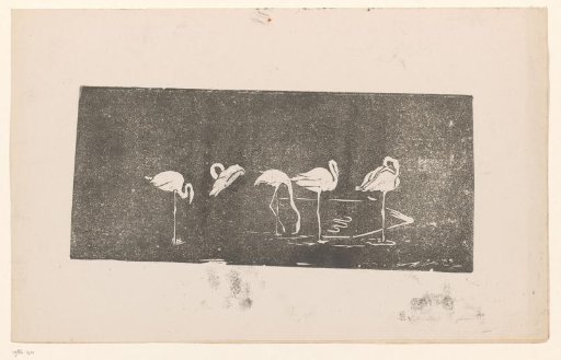 Five flamingos