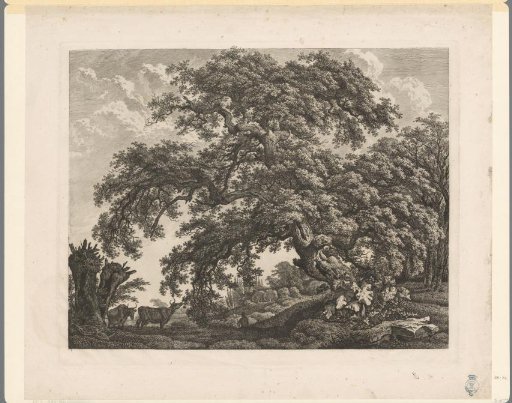 Landscape with two cows near a large oak