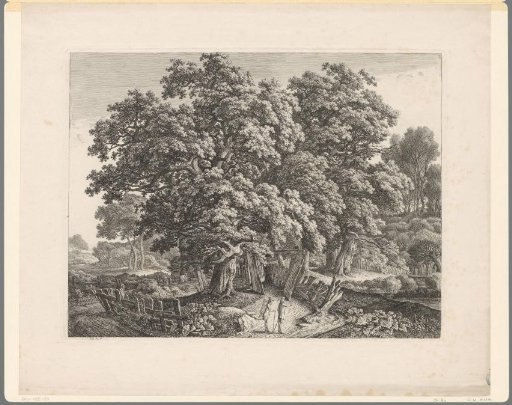 Wooded landscape with a fence around an oak and two walkers