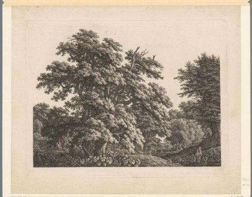 Wooded landscape with a girl standing in the water