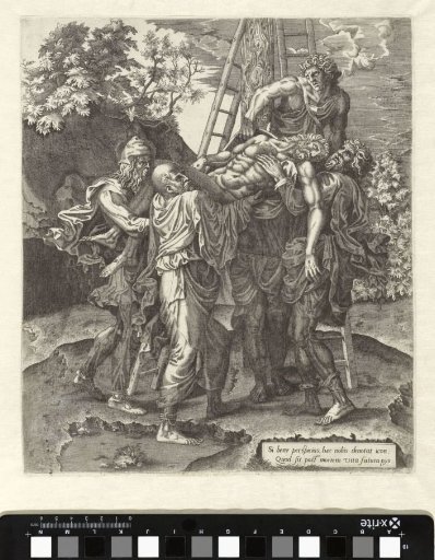 The Deposition
